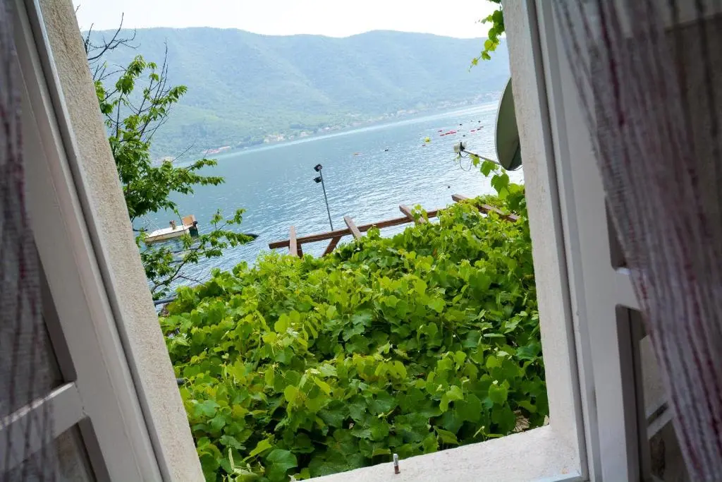 img_id_2228501.webp