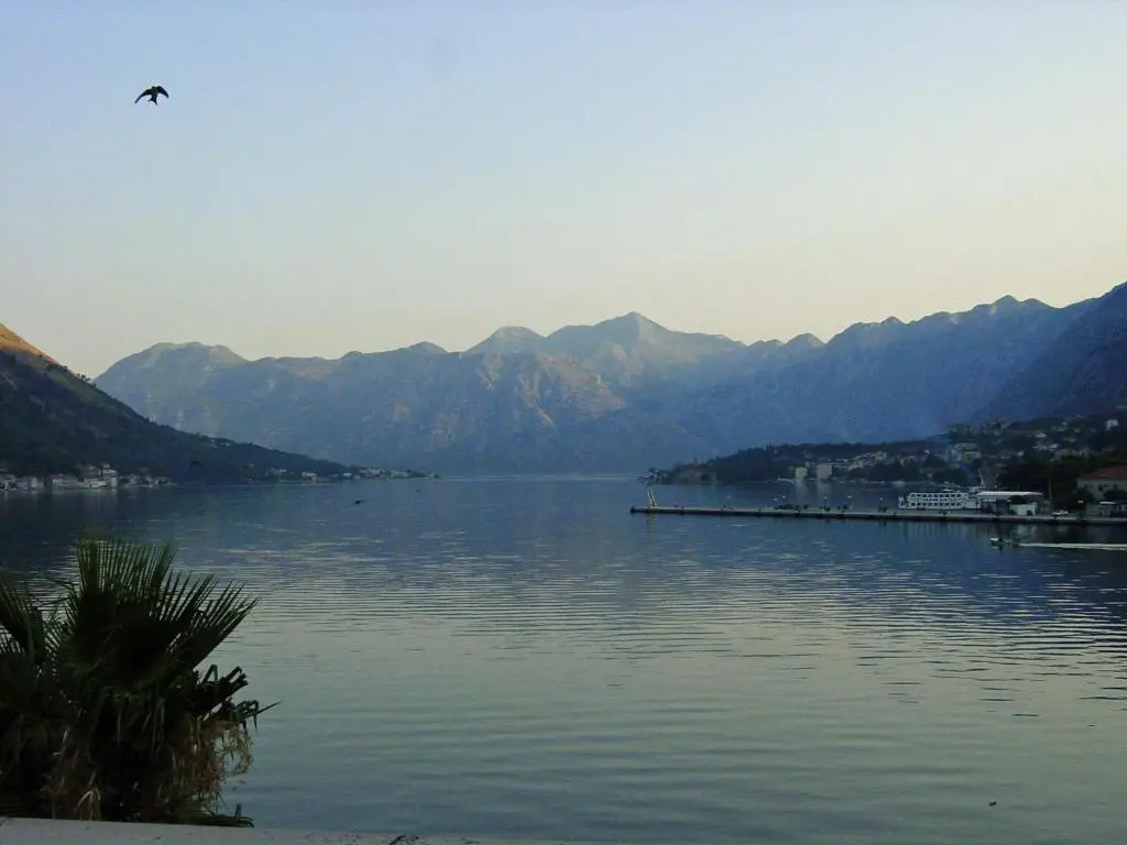 img_id_2228334.webp