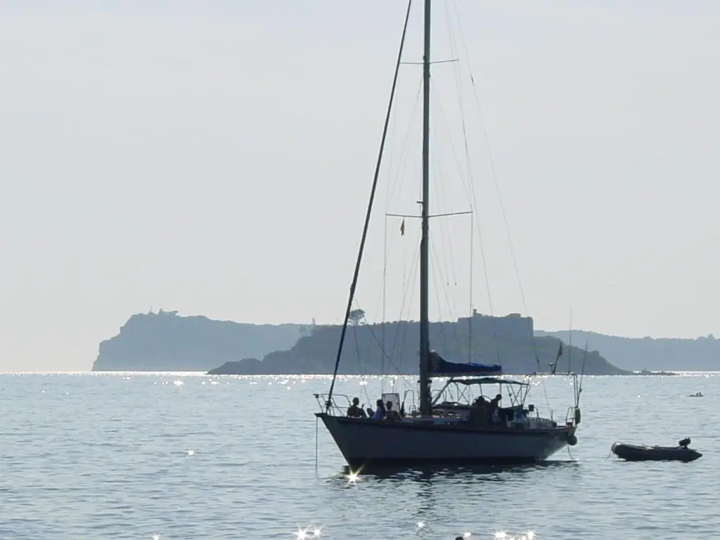 img_id_2228350.webp