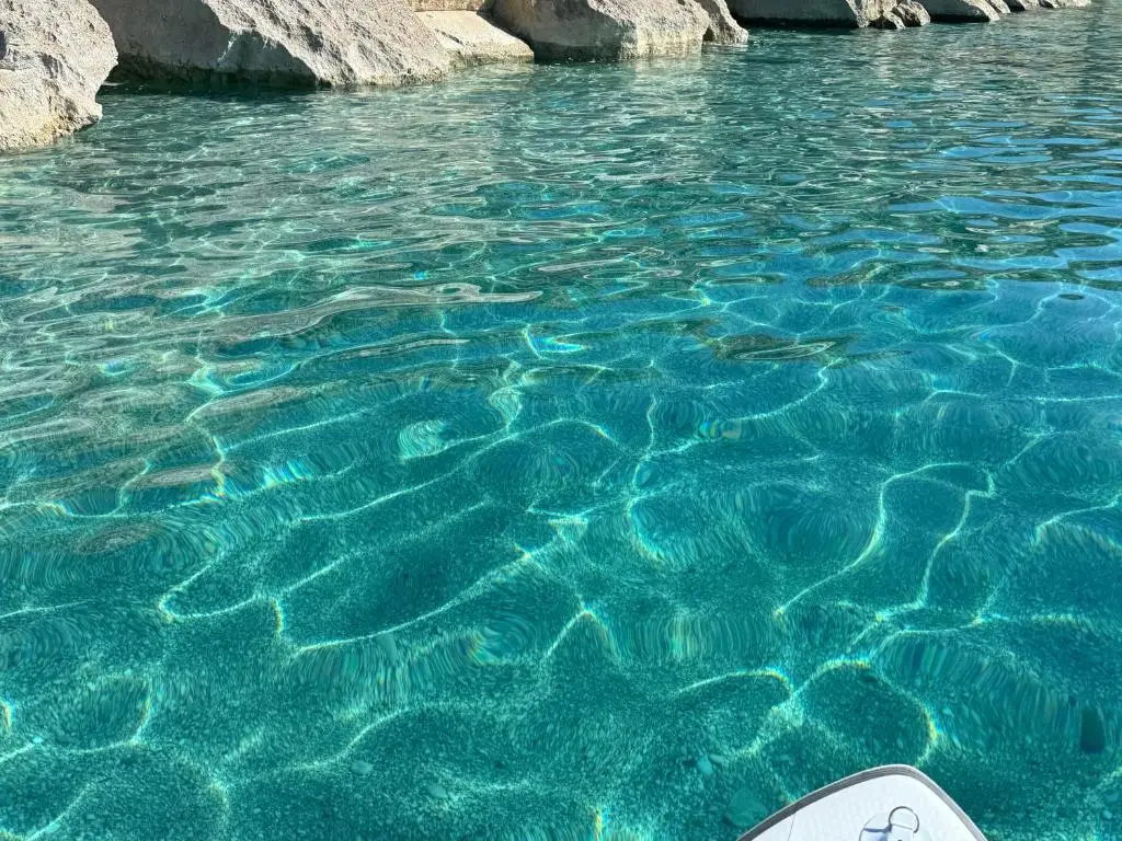 img_id_1426677.webp