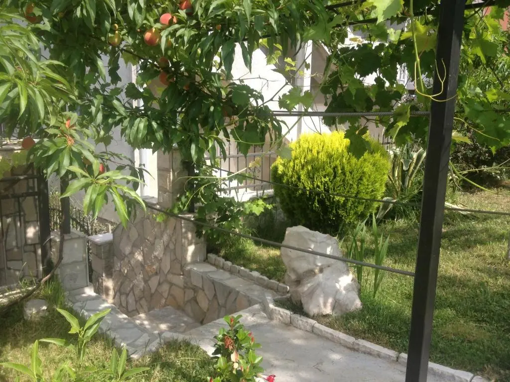 img_id_2227162.webp