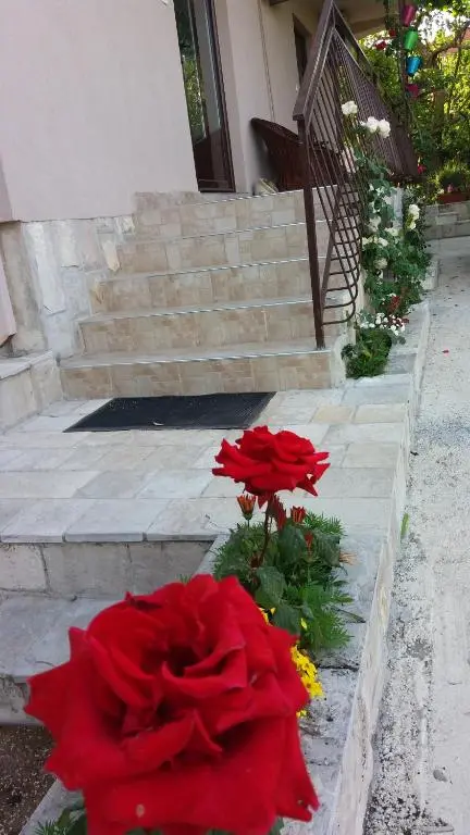 img_id_2226752.webp