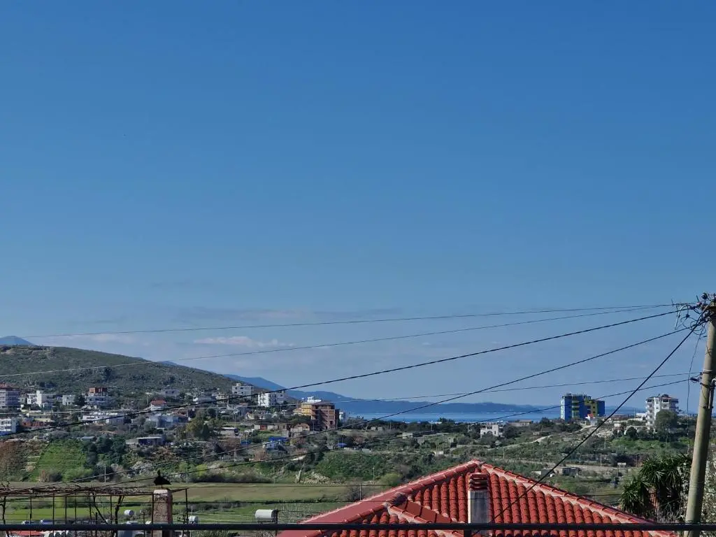 img_id_1203976.webp