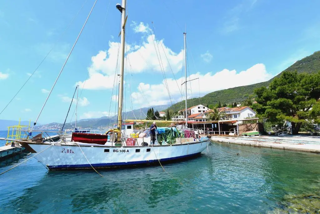 img_id_2225130.webp