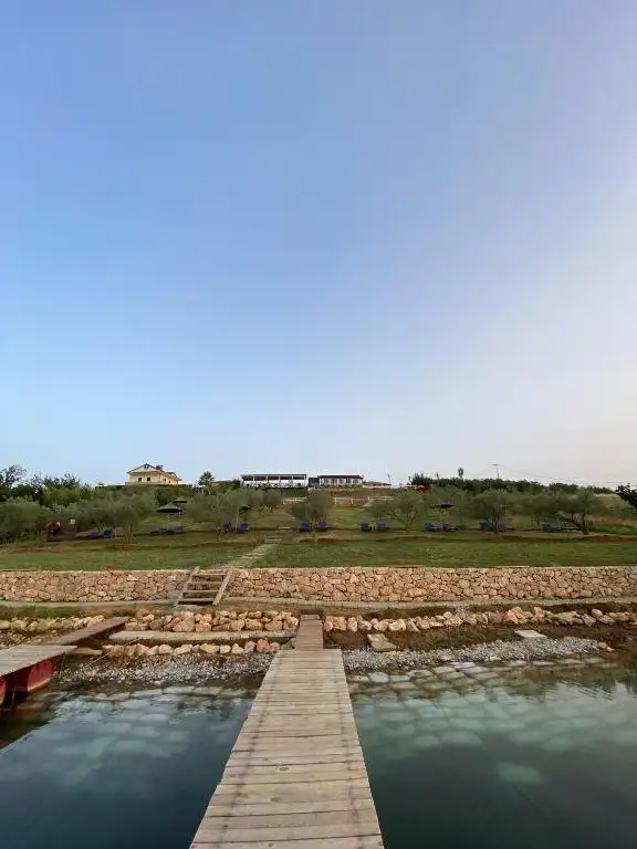 img_id_529217.webp