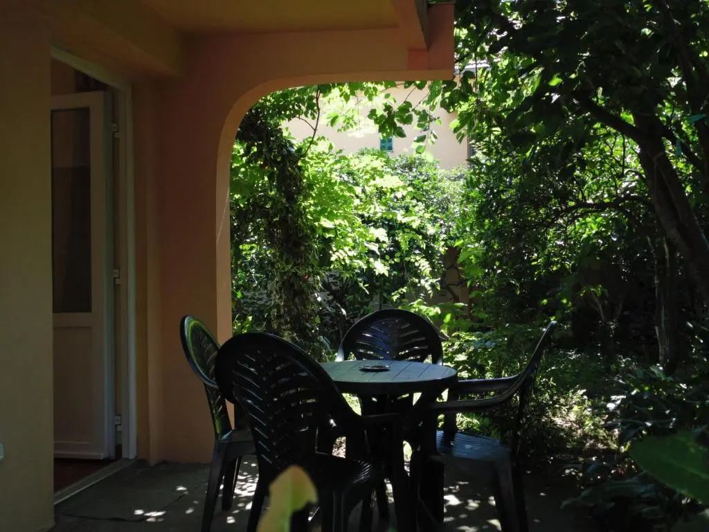 img_id_2224166.webp