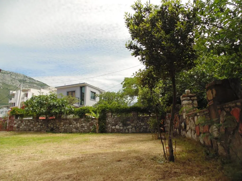 img_id_2224229.webp