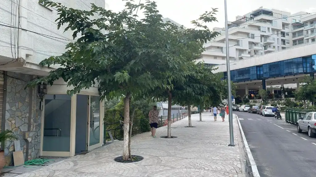 img_id_689053.webp