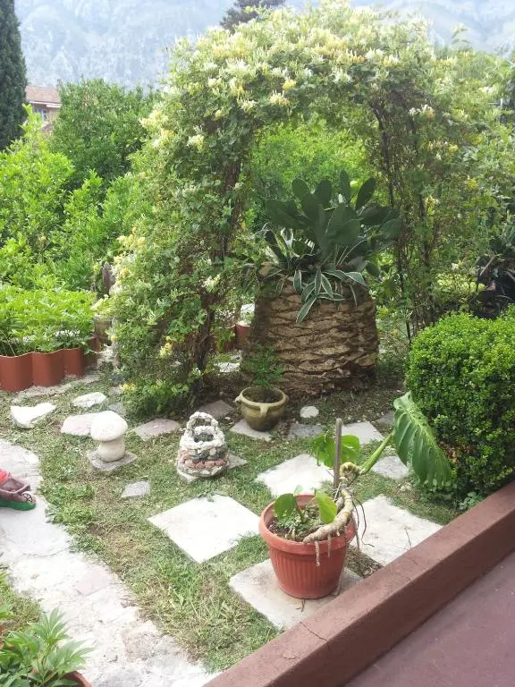 img_id_2223610.webp