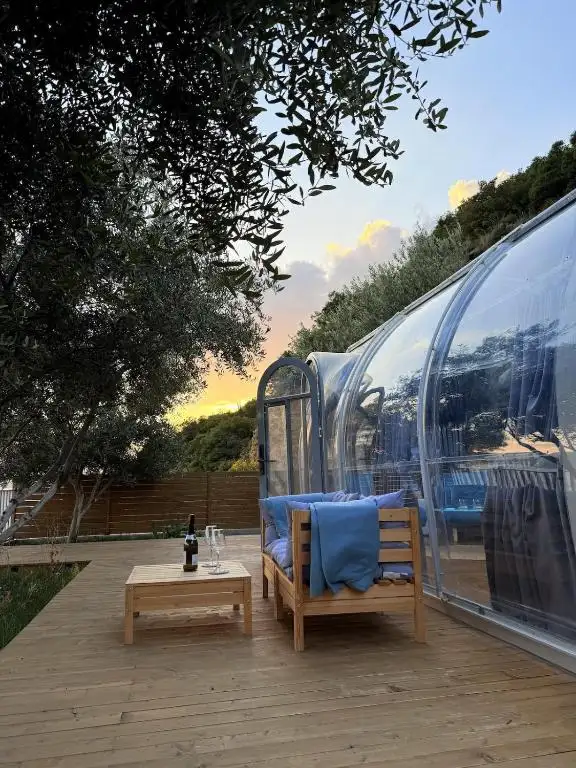 img_id_689071.webp