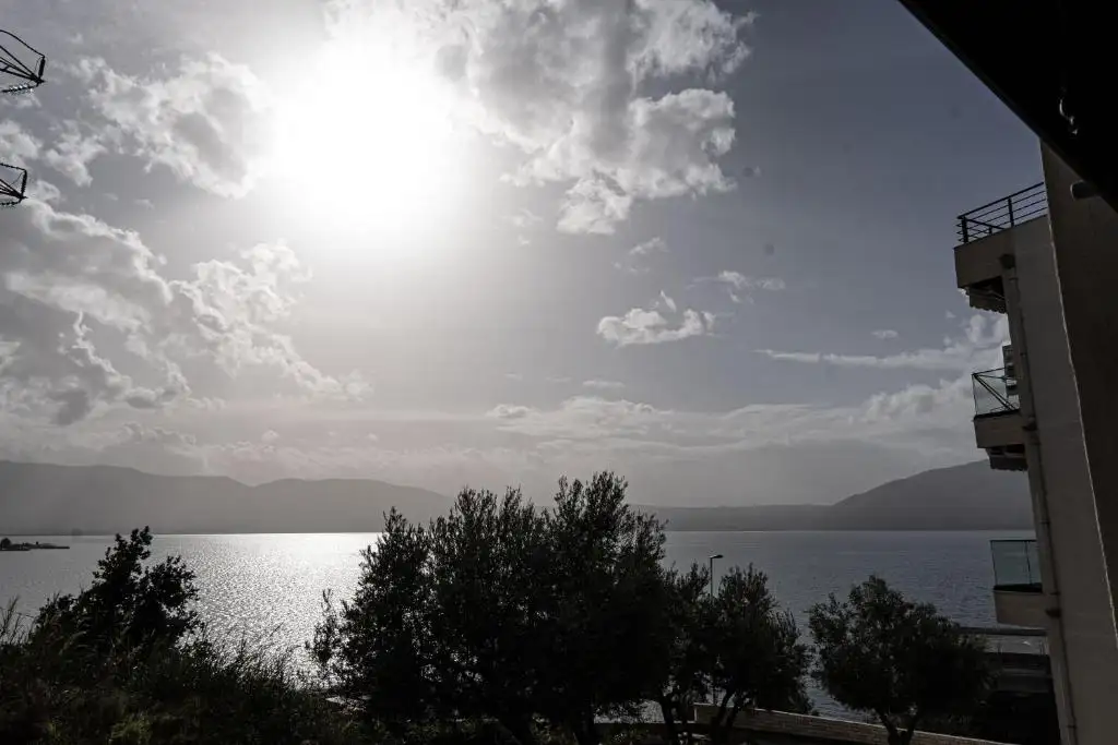 img_id_492352.webp
