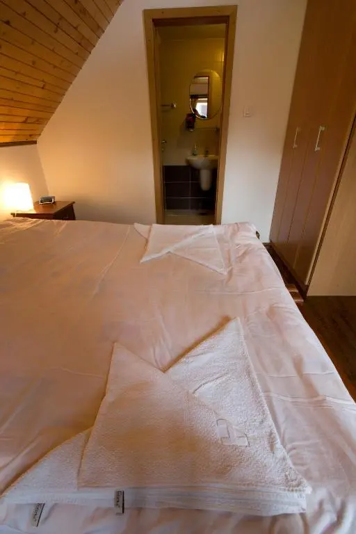 img_id_2222372.webp