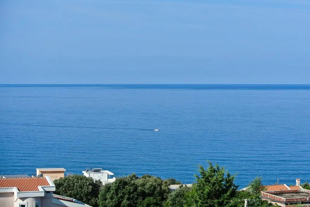 img_id_2222168.webp