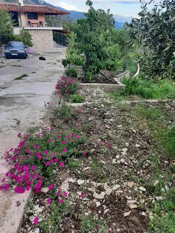 img_id_888584.webp
