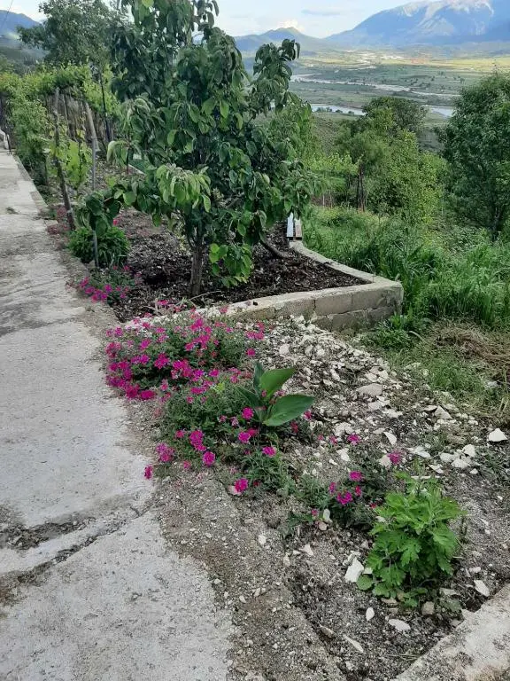 img_id_888585.webp