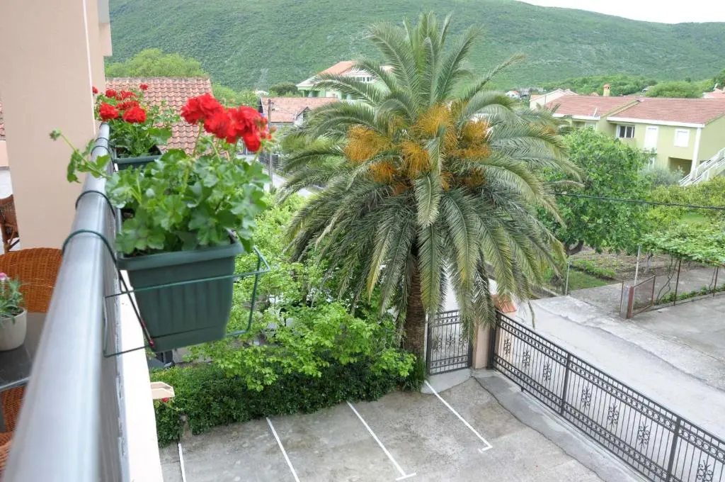 img_id_2221559.webp