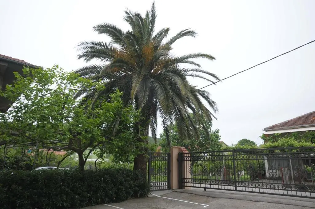 img_id_2221616.webp