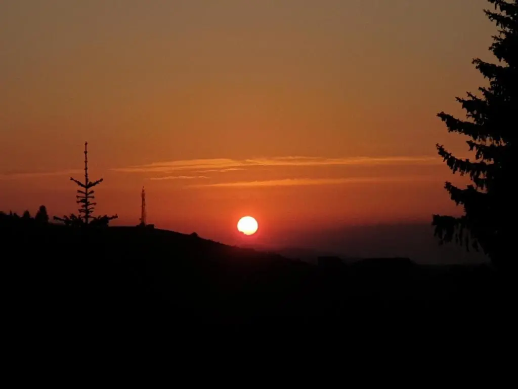 img_id_1632589.webp
