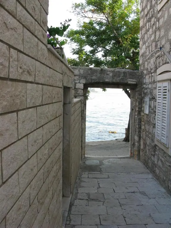 img_id_1203230.webp