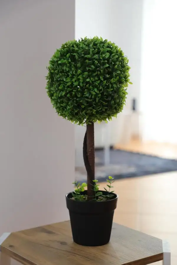 img_id_488522.webp