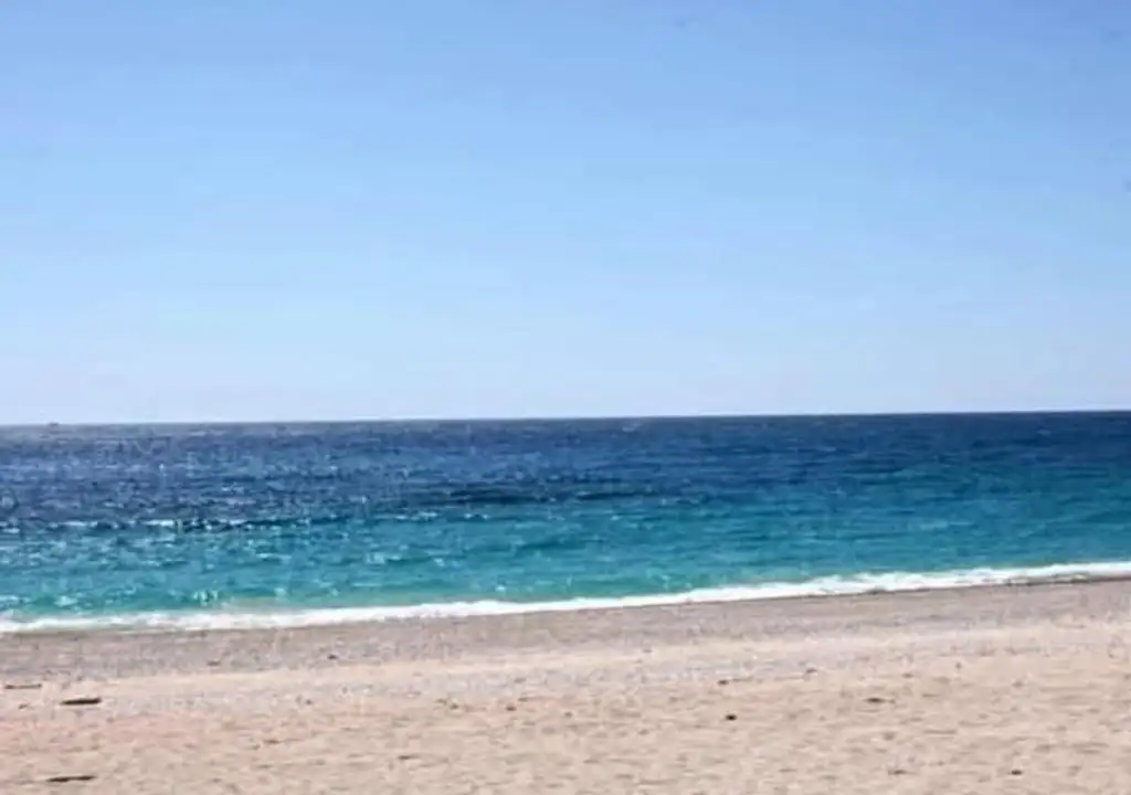 img_id_503018.webp