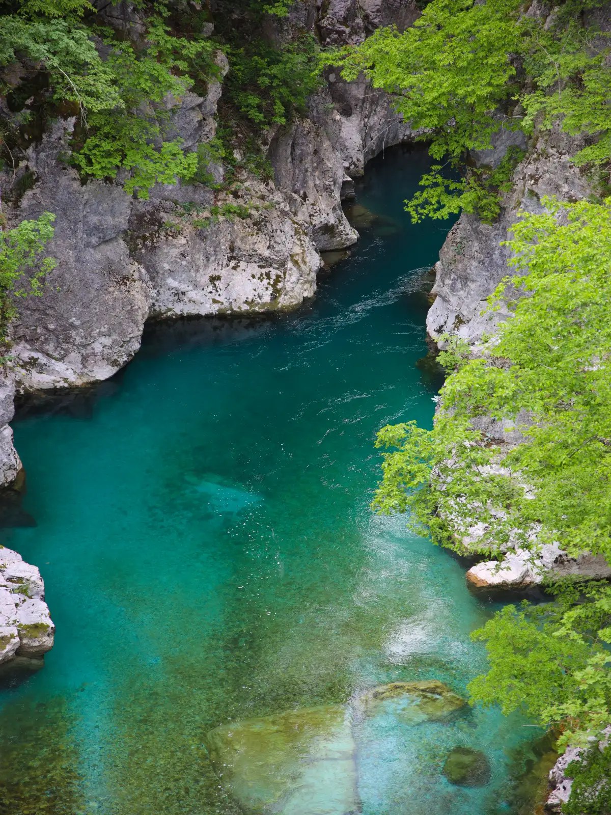 img_id_489421.webp