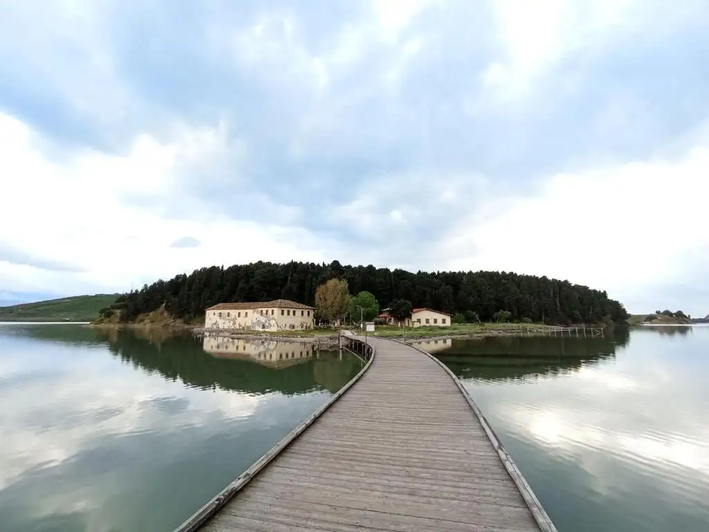 img_id_489842.webp