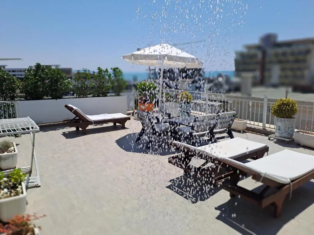 img_id_968540.webp