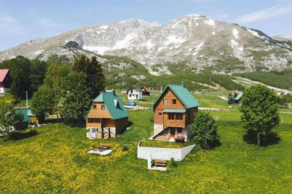img_id_2216768.webp