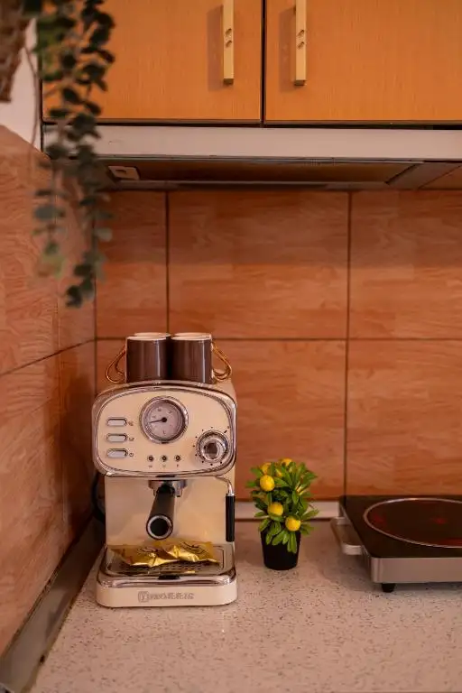 img_id_490694.webp