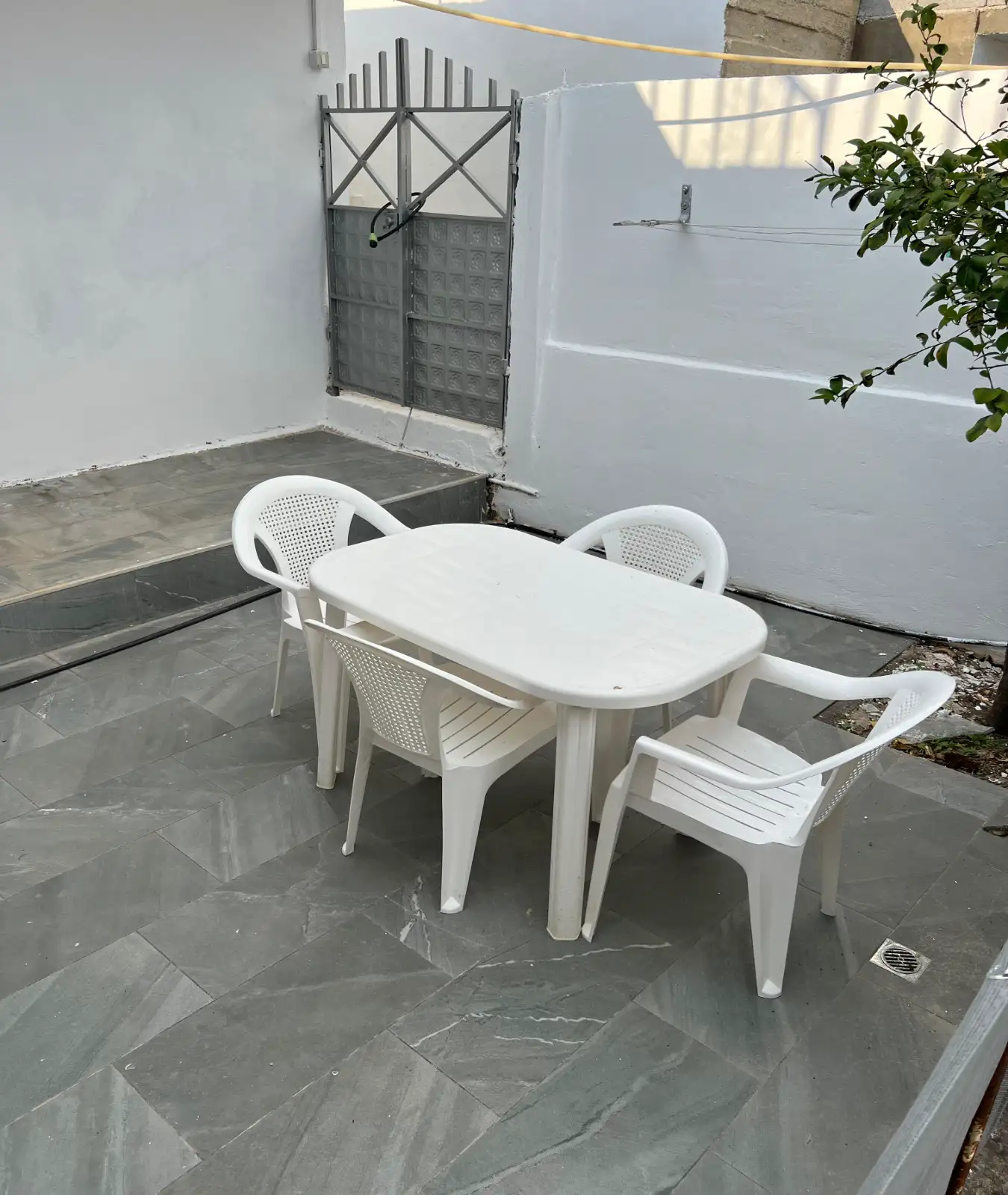 img_id_491099.webp