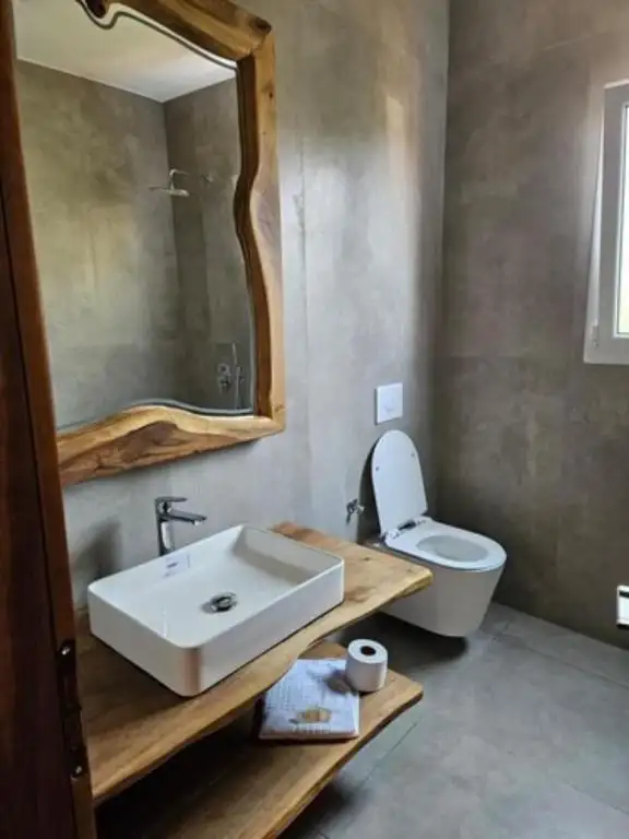 Deluxe Double Room image 5