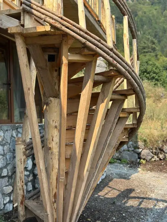 img_id_501629.webp
