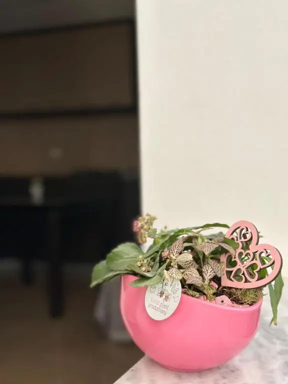 img_id_1706427.webp
