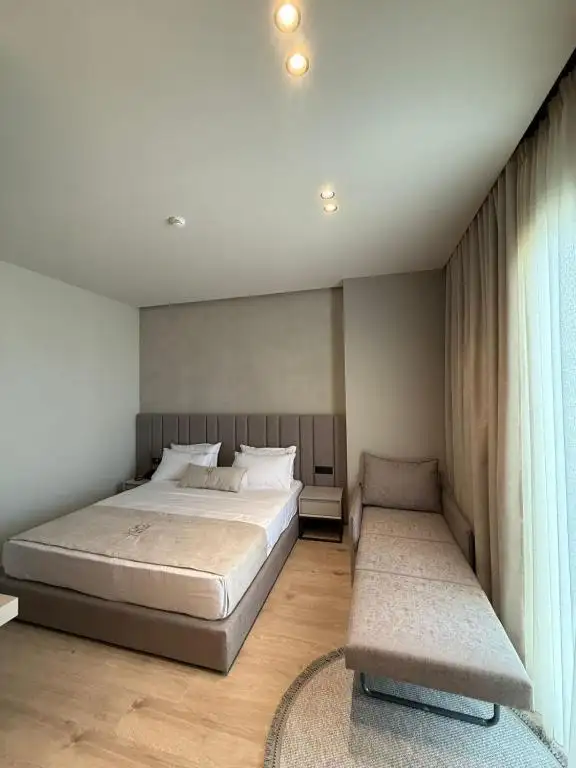 img_id_500545.webp