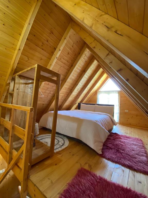img_id_886938.jpg