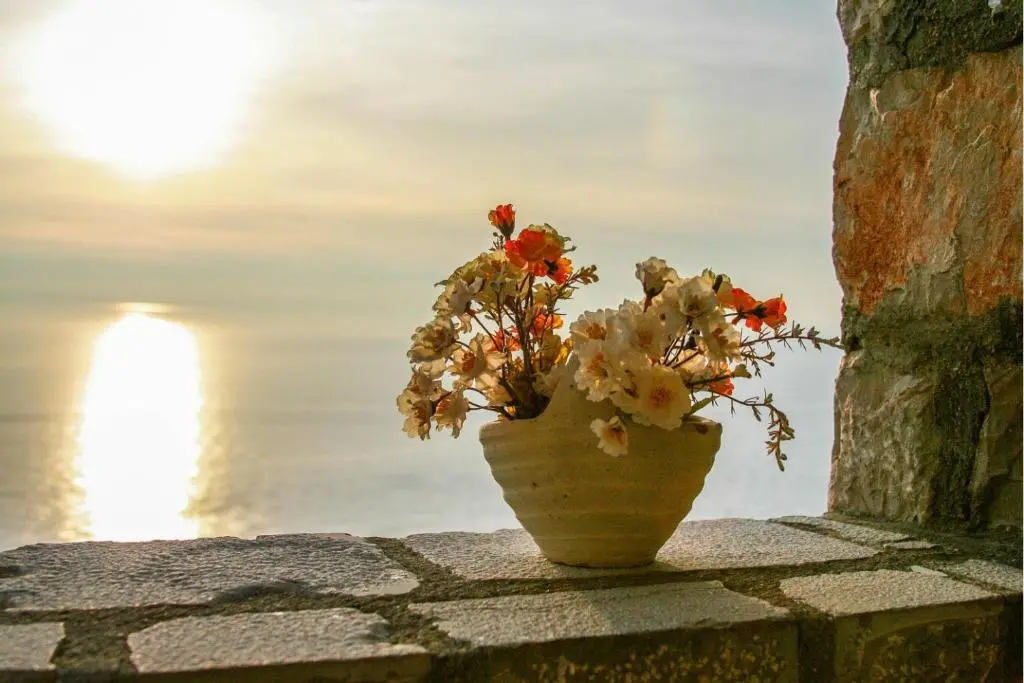 img_id_2214347.webp