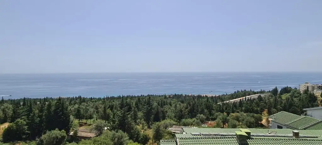 img_id_502982.webp