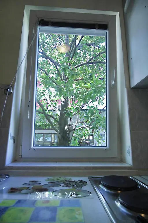 img_id_1627156.webp