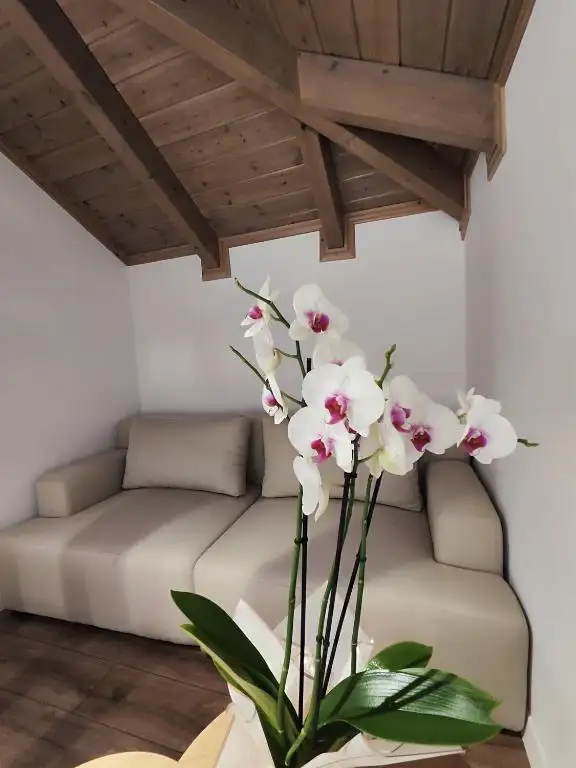 img_id_503724.webp