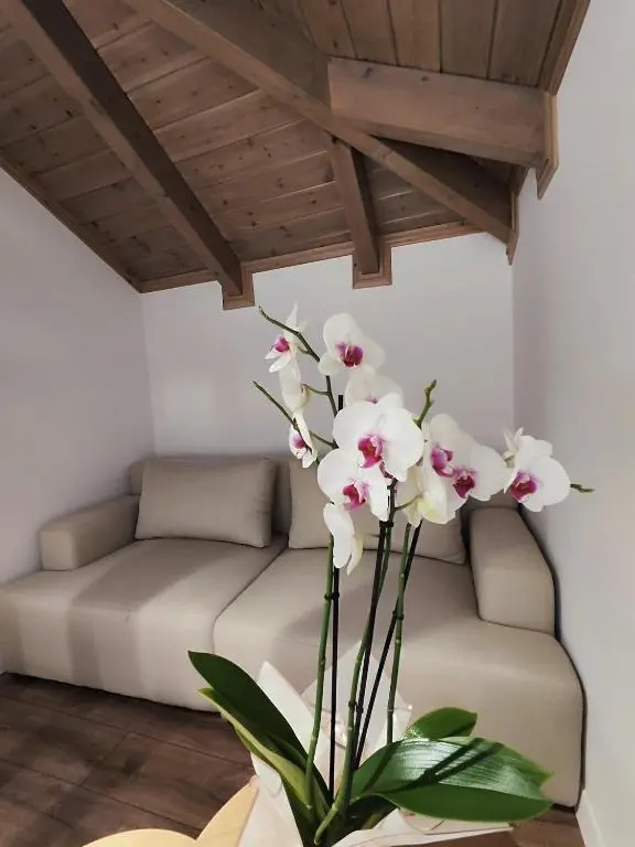 img_id_886368.webp