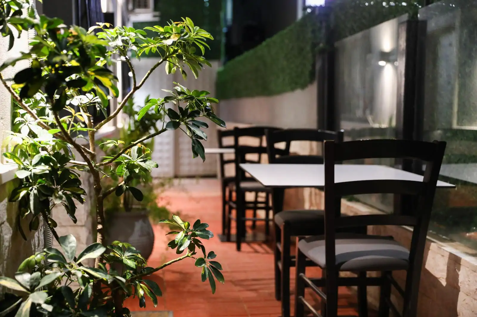 img_id_687864.webp