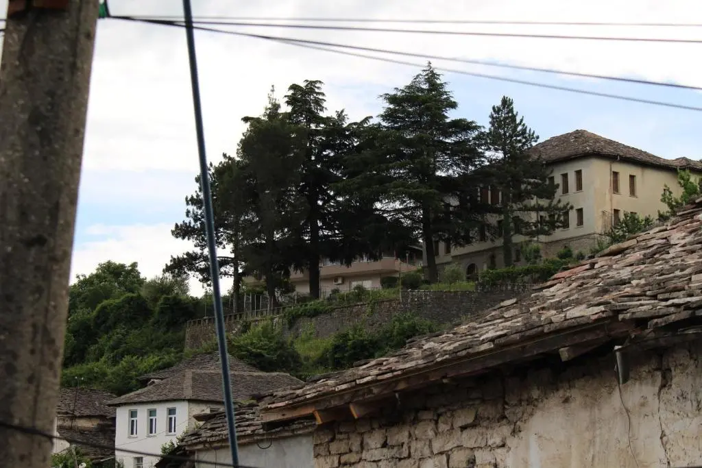 img_id_891924.webp