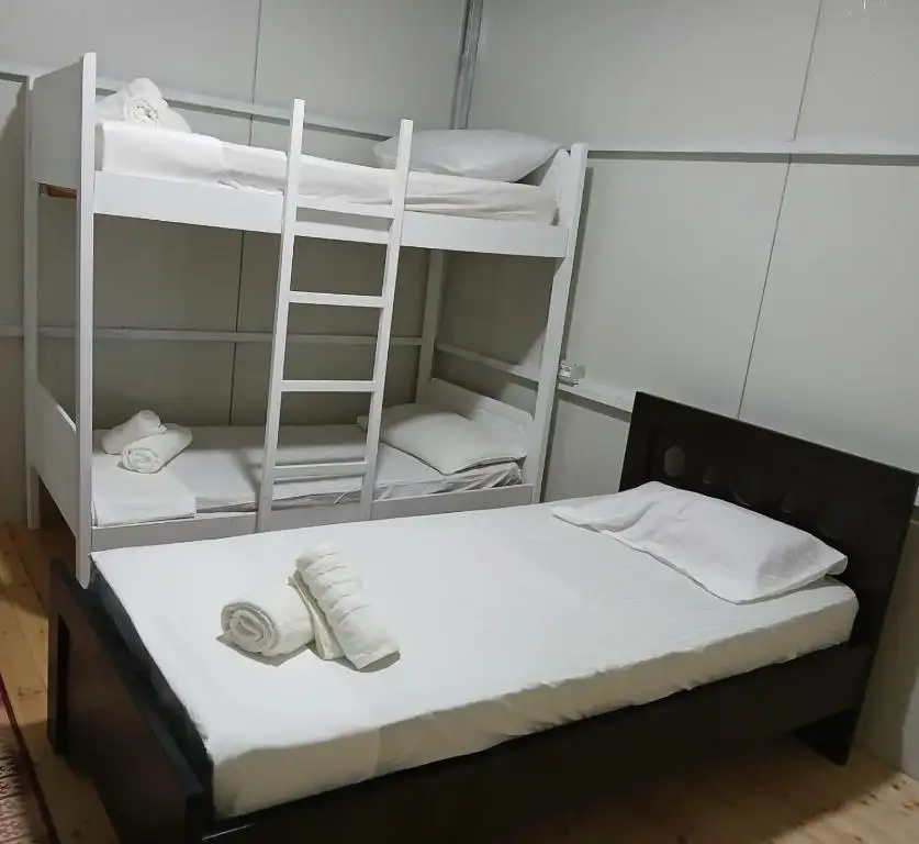 img_id_505739.webp