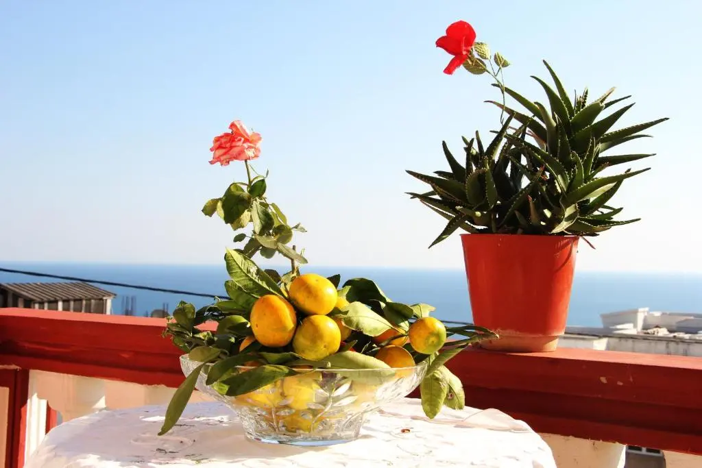 img_id_2211969.webp