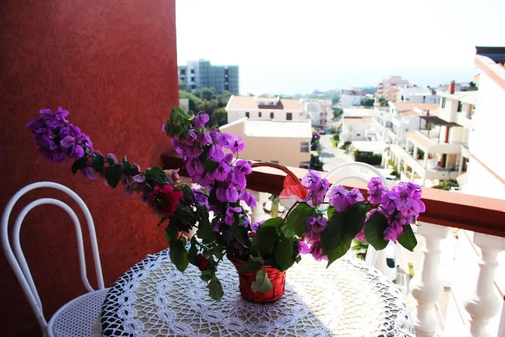 img_id_2212002.webp