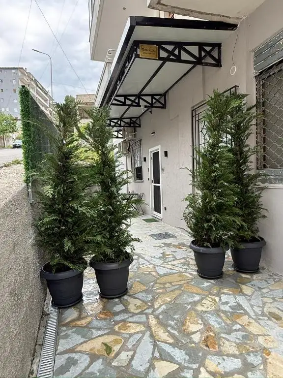 img_id_505197.webp