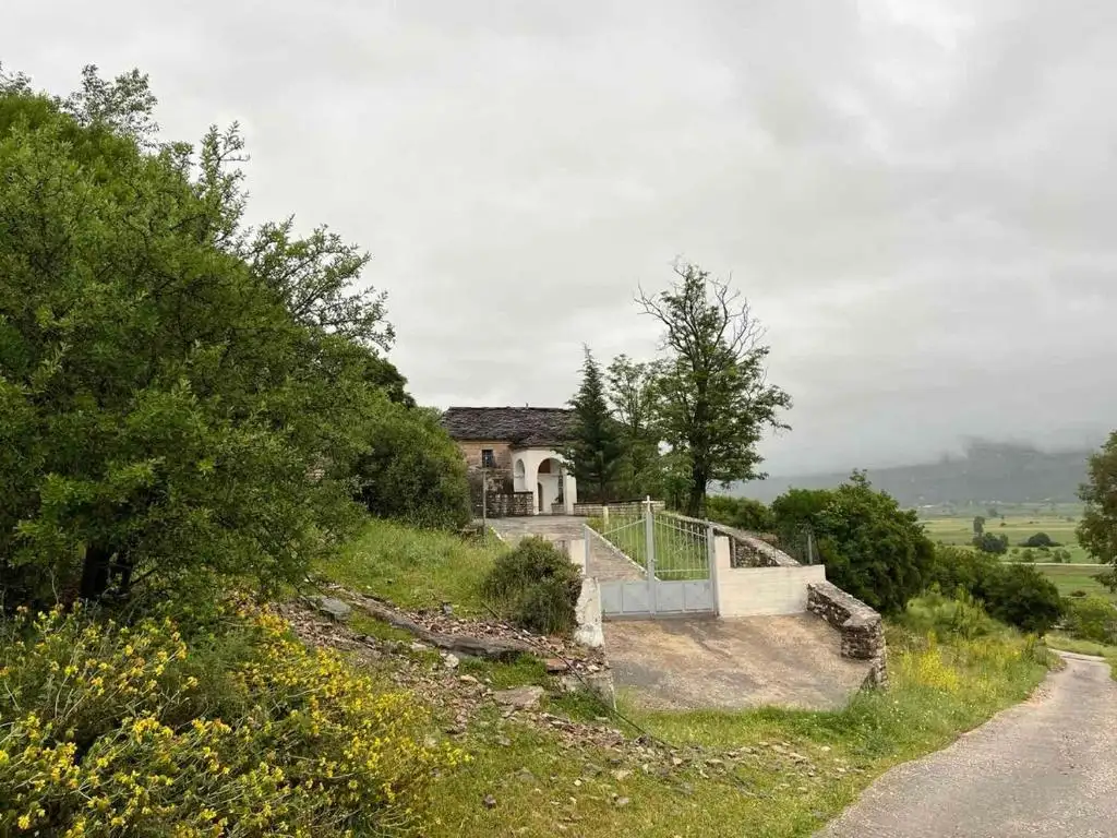 img_id_505226.webp