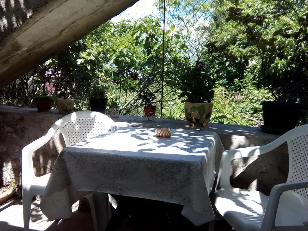 img_id_2211095.webp