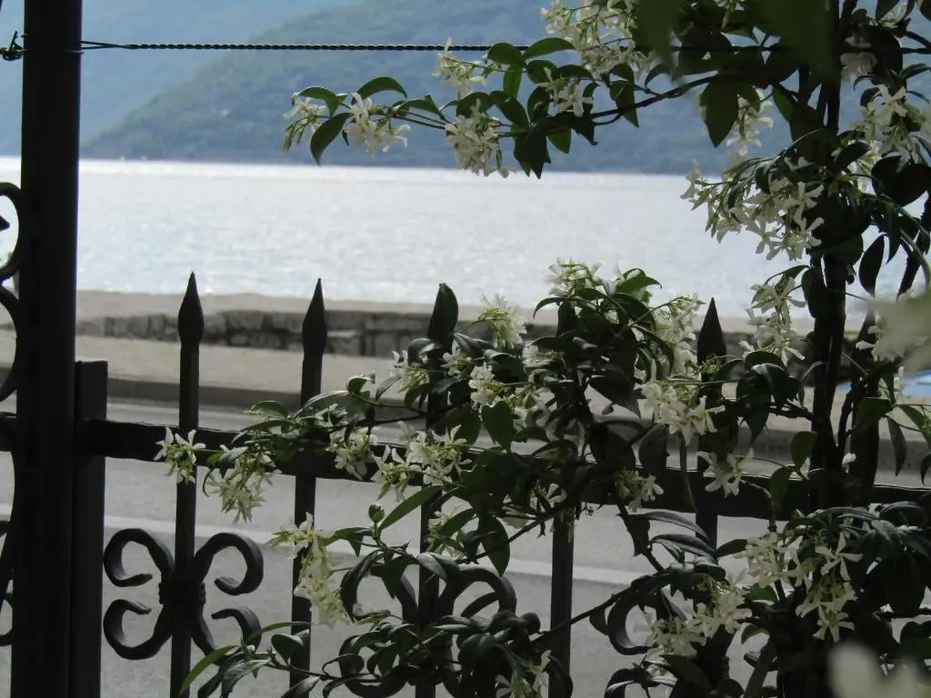 img_id_2210917.webp